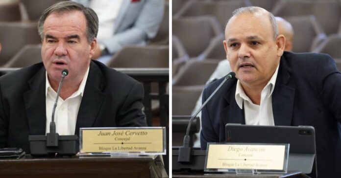 NOTICIAS DE TIGRE: BOLETA UNICA DE PAPEL